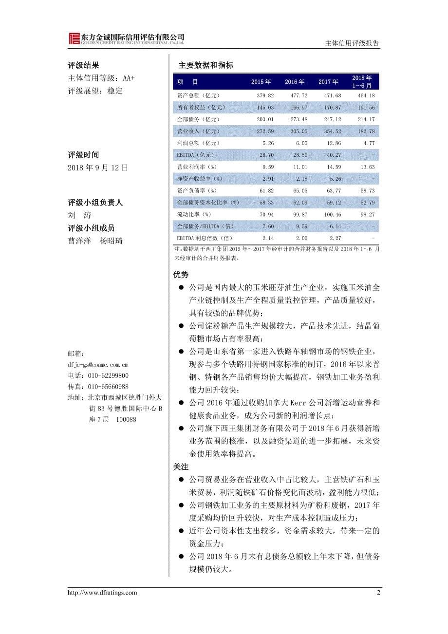 西王集团有限公司主体信用评级报告_第5页