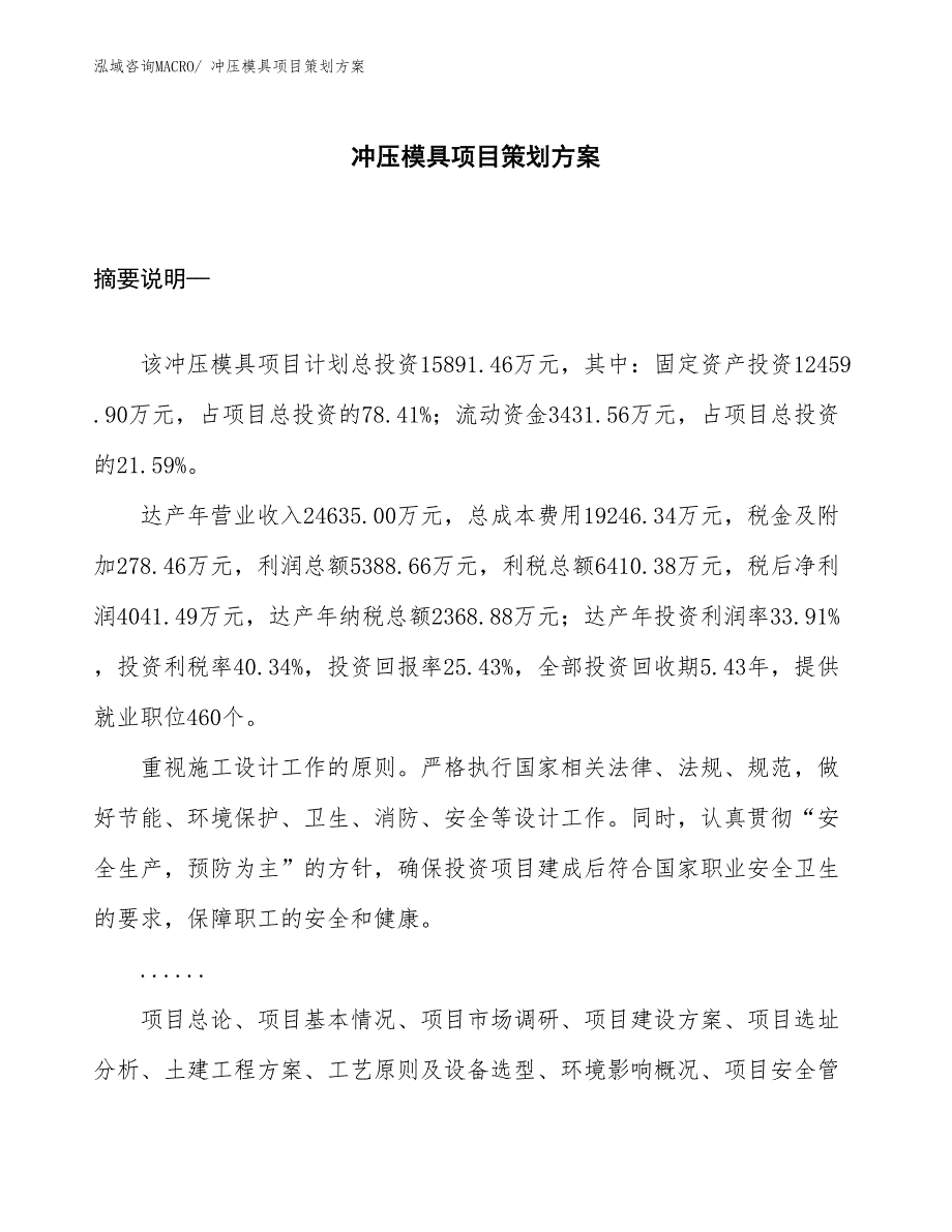 冲压模具项目策划方案_第1页