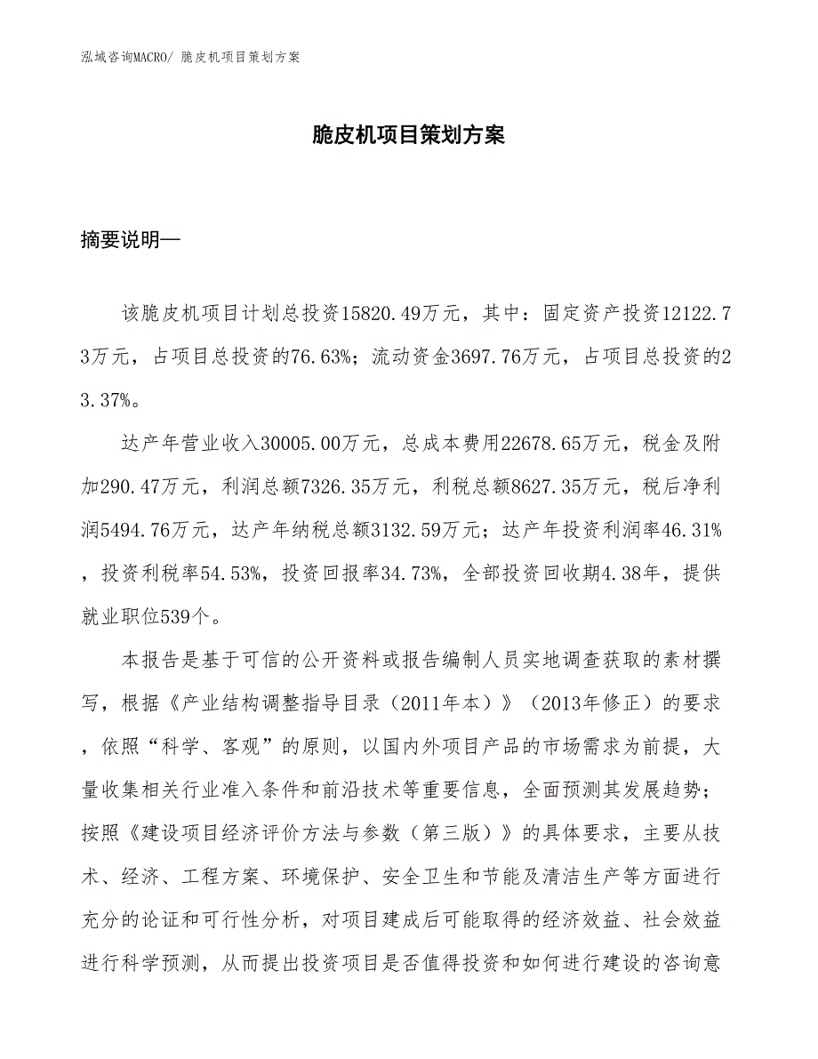 脆皮机项目策划方案_第1页