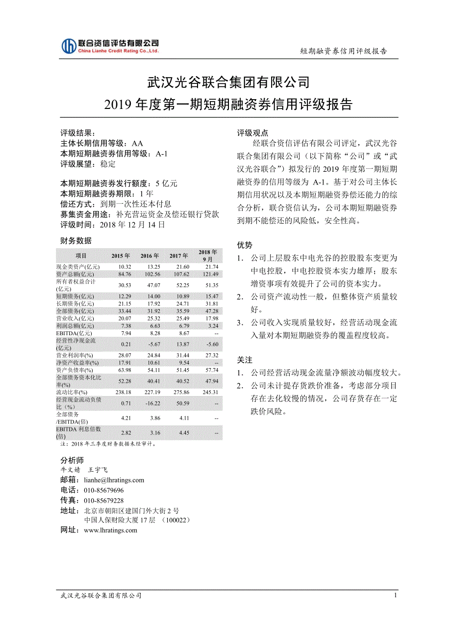 武汉光谷联合集团有限公司2019年度第一期短期融资券信用评级报告_第2页