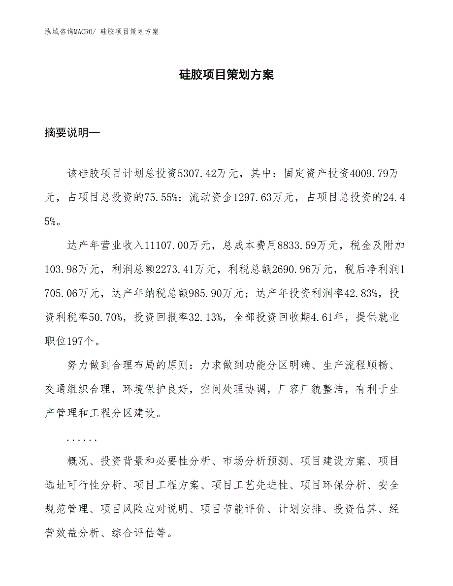 硅胶项目策划方案_第1页