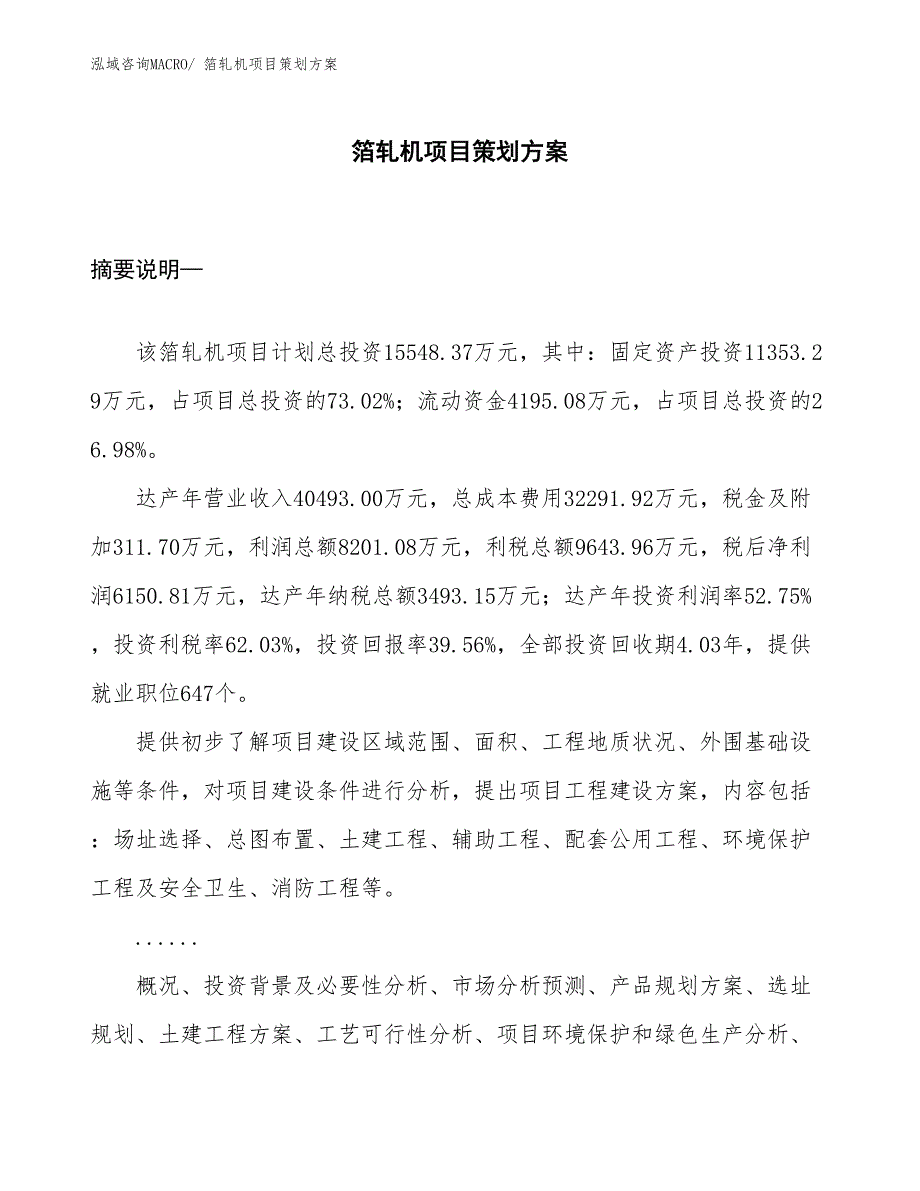 箔轧机项目策划方案_第1页