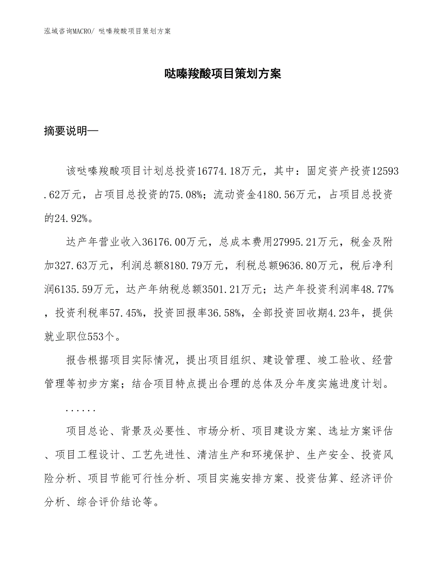 哒嗪羧酸项目策划方案_第1页