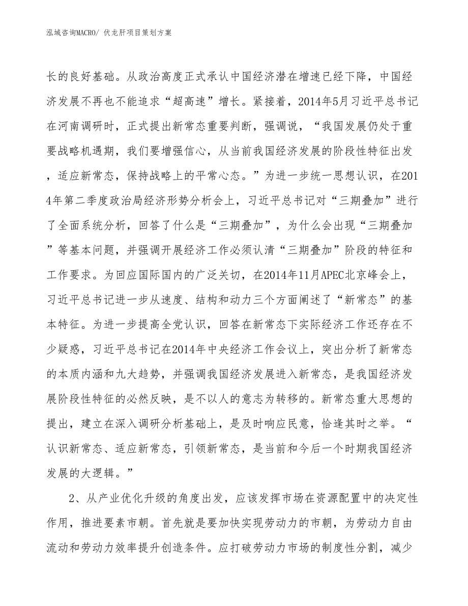 伏龙肝项目策划方案_第5页