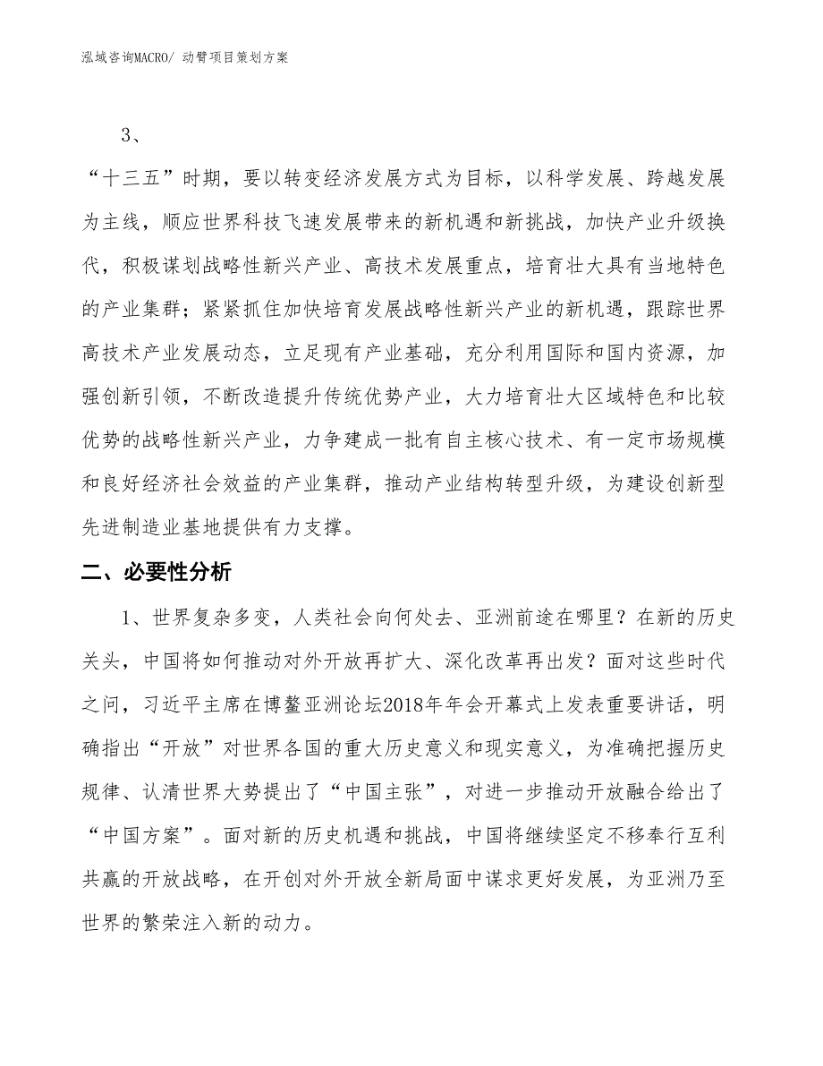 动臂项目策划方案_第4页