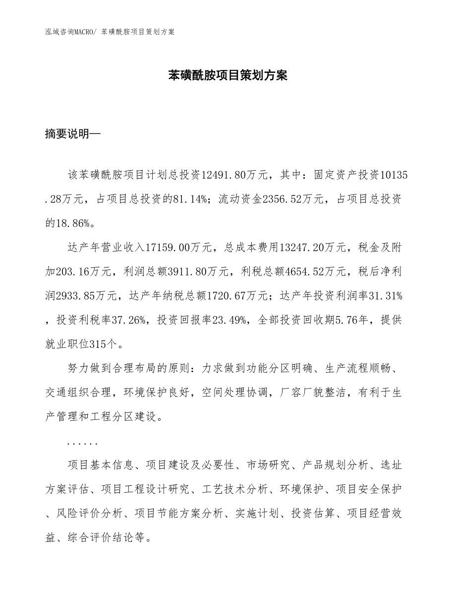 苯磺酰胺项目策划方案_第1页