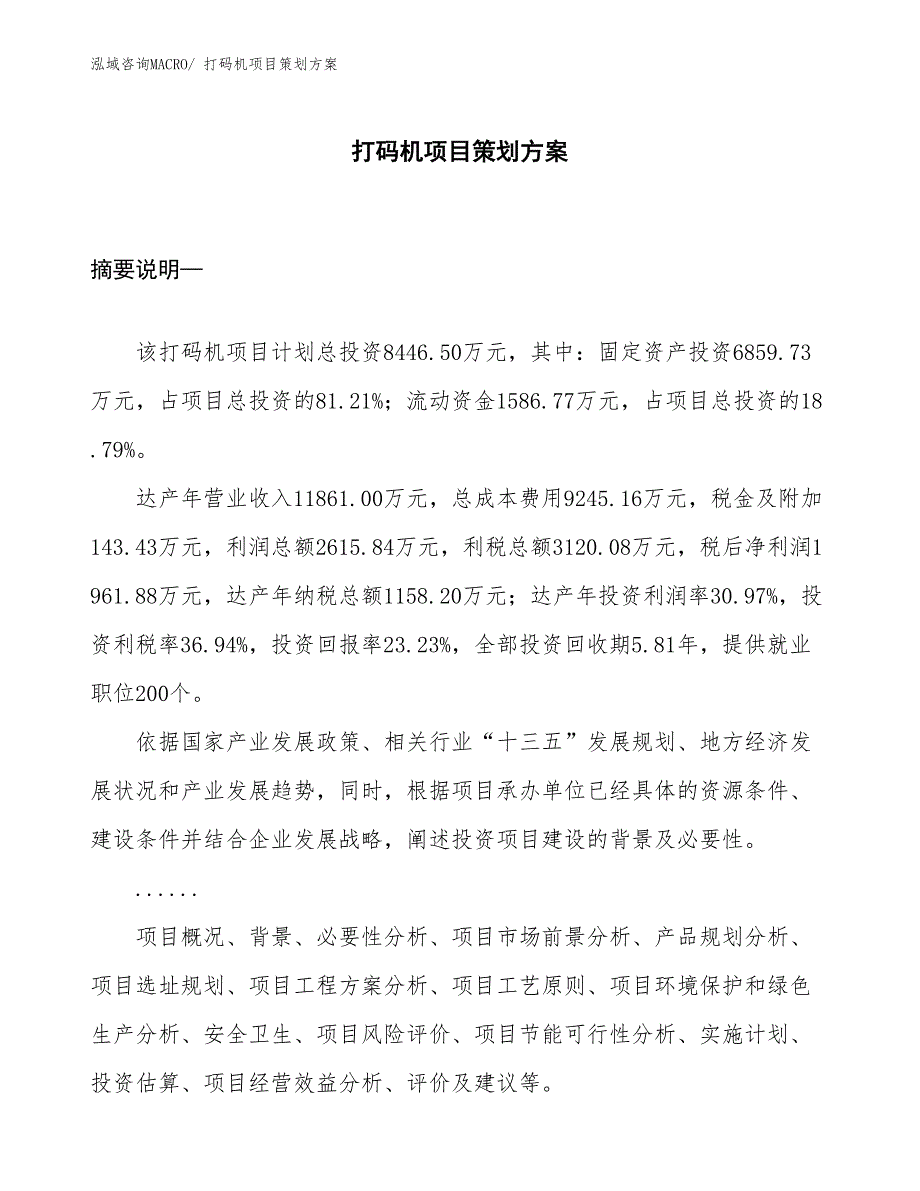 打码机项目策划方案_第1页