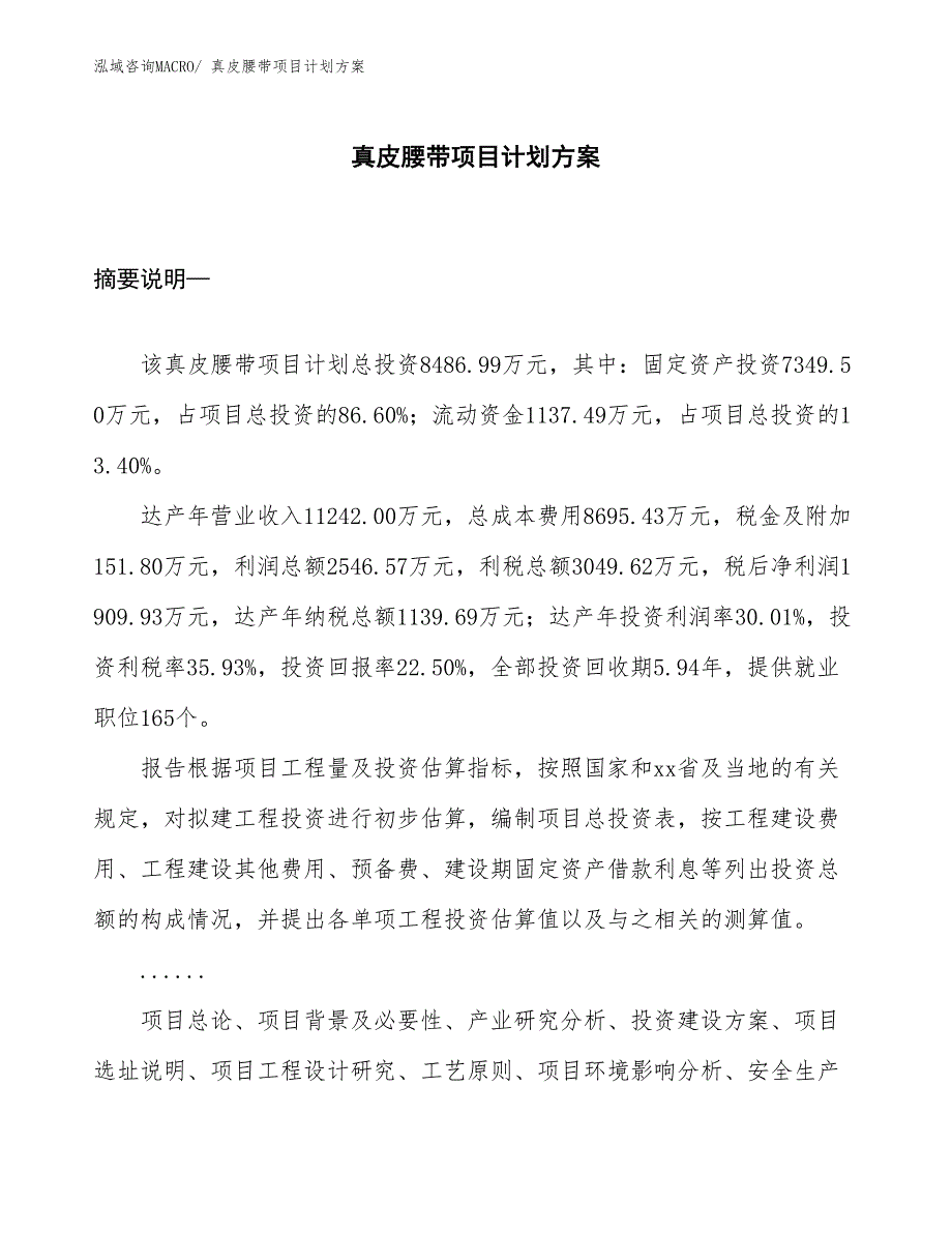 （招商引资）真皮腰带项目计划方案_第1页