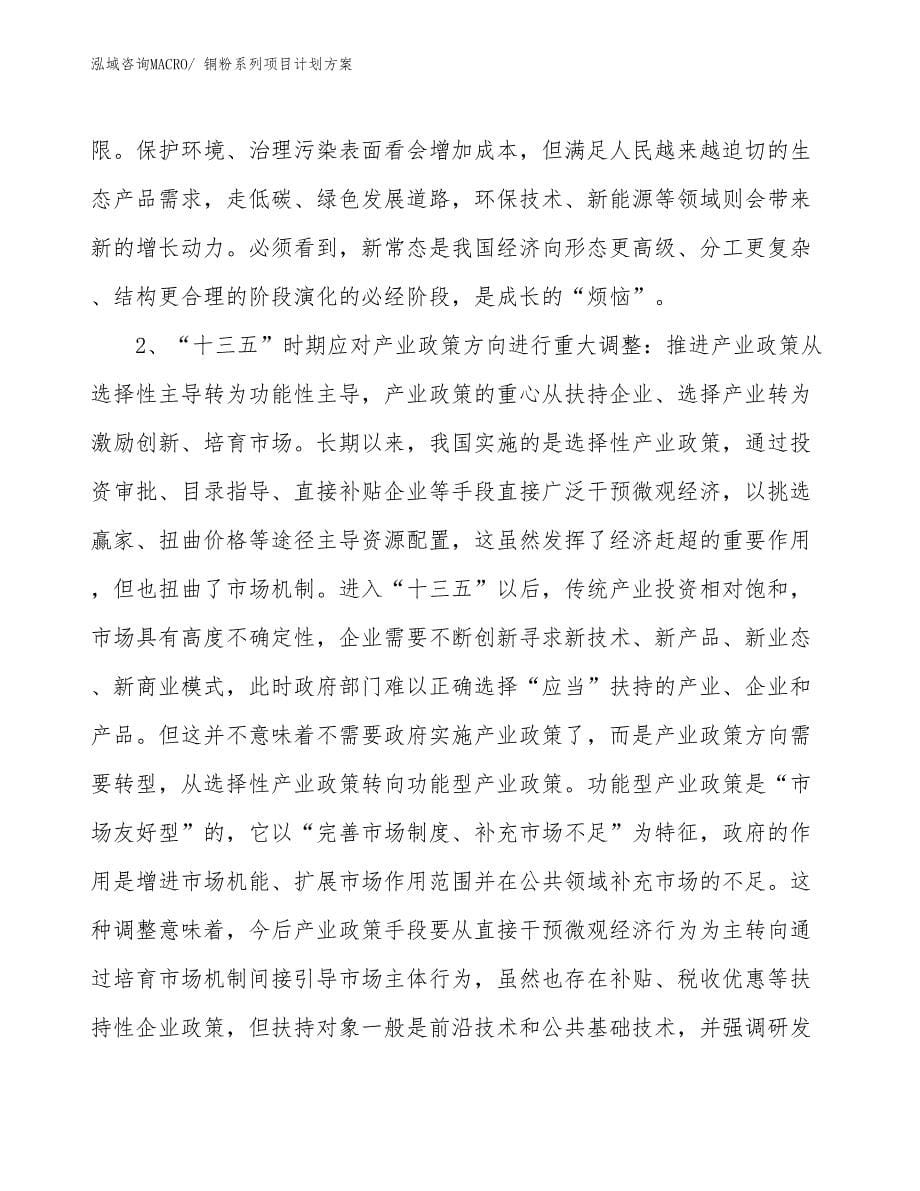 （招商引资）铜粉系列项目计划方案_第5页