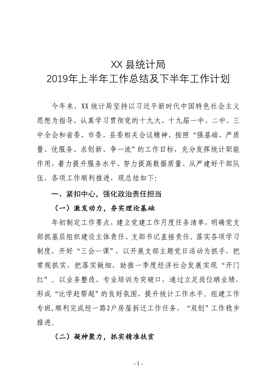 XX县统计局2019年上半年工作总结及下半年工作计划_第1页