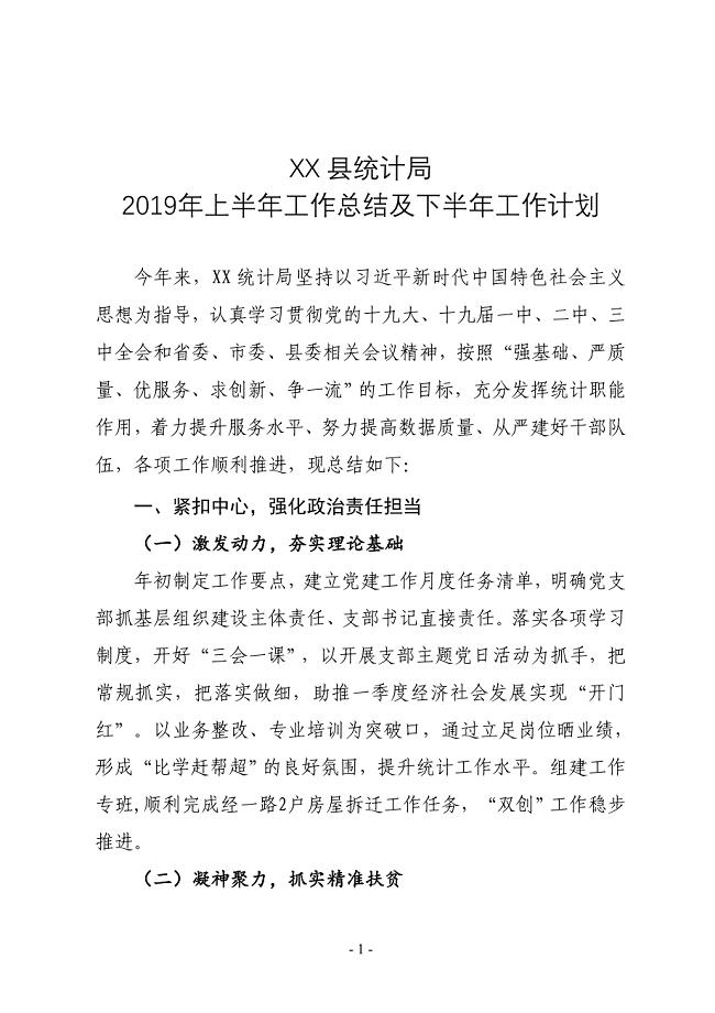 XX县统计局2019年上半年工作总结及下半年工作计划