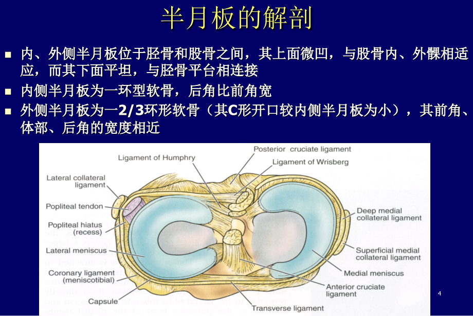 医学影像诊断ppt图文详解完整版膝关节半月板病变mr诊断_第4页