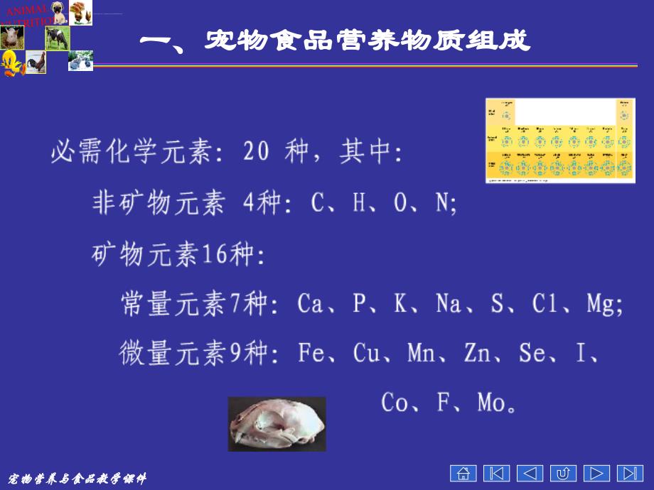 宠物营养学基本知识(能量与宠物营养)分析_第4页