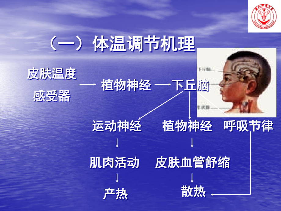 基层连队常见症状-ppt课件_第4页