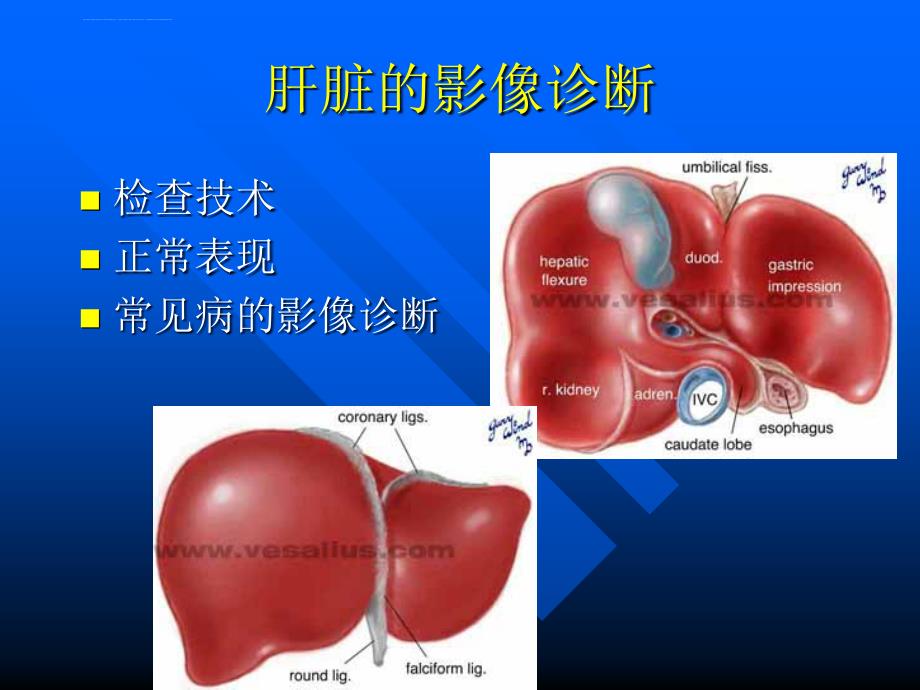 医学影像诊断ppt图文详解完整版肝胆胰脾影像诊断学_第2页