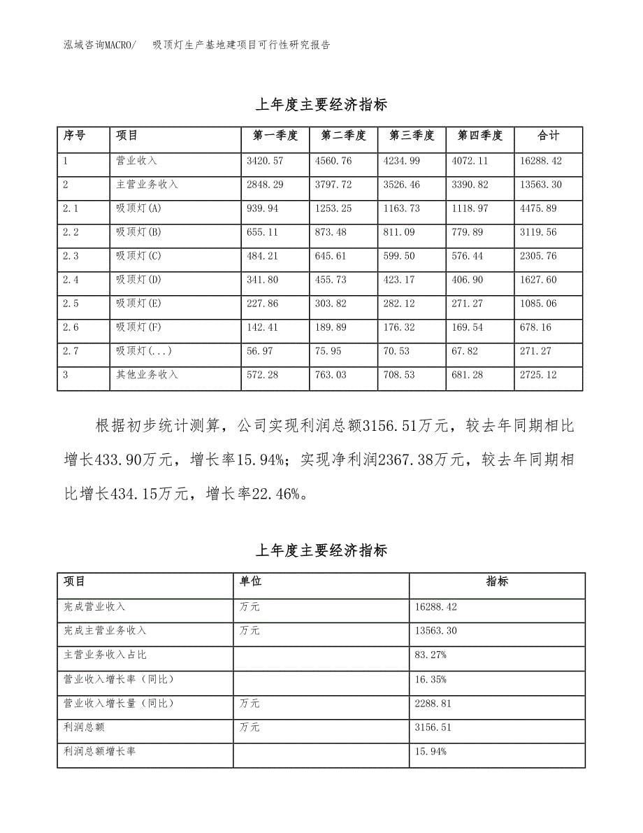 （模板）吸顶灯生产基地建项目可行性研究报告_第5页