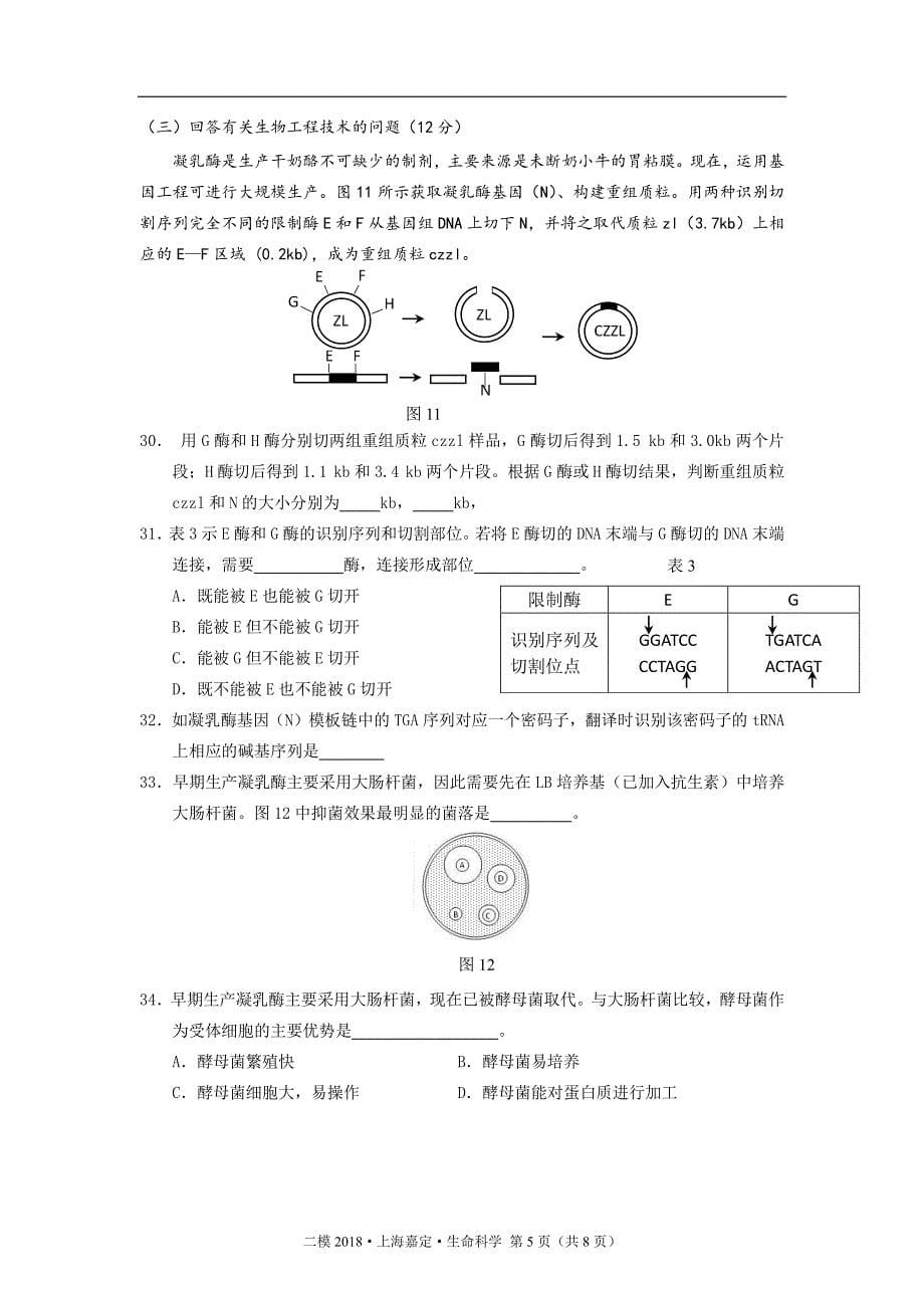 2018年上海嘉定区生命科学二模试卷及答案.pdf_第5页