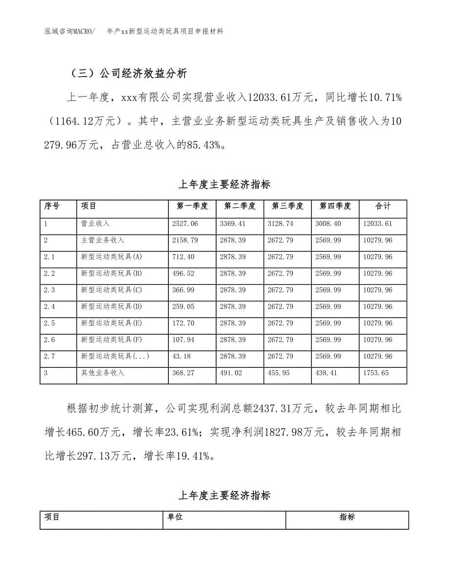 年产xx新型运动类玩具项目申报材料_第5页