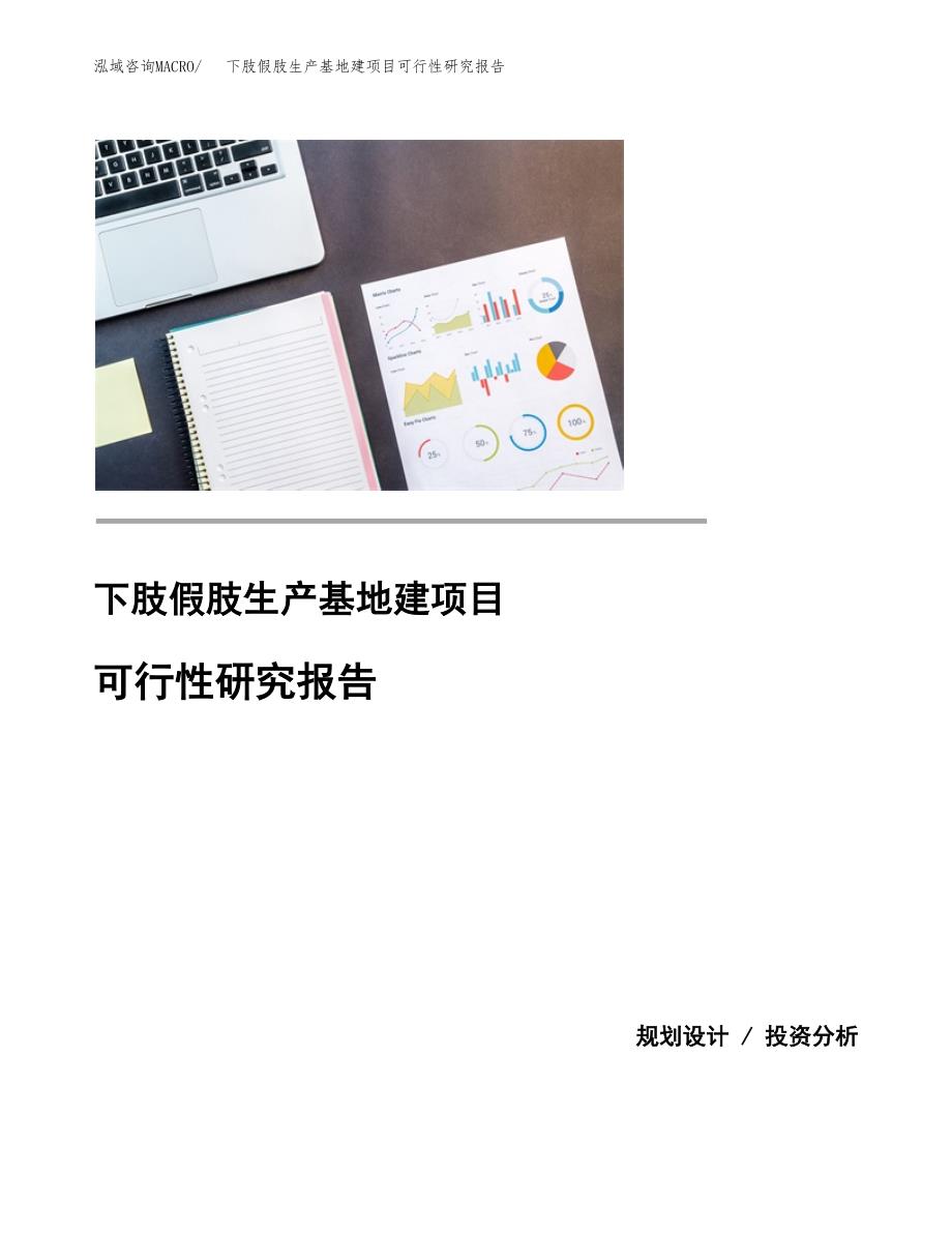 （模板）下肢假肢生产基地建项目可行性研究报告_第1页