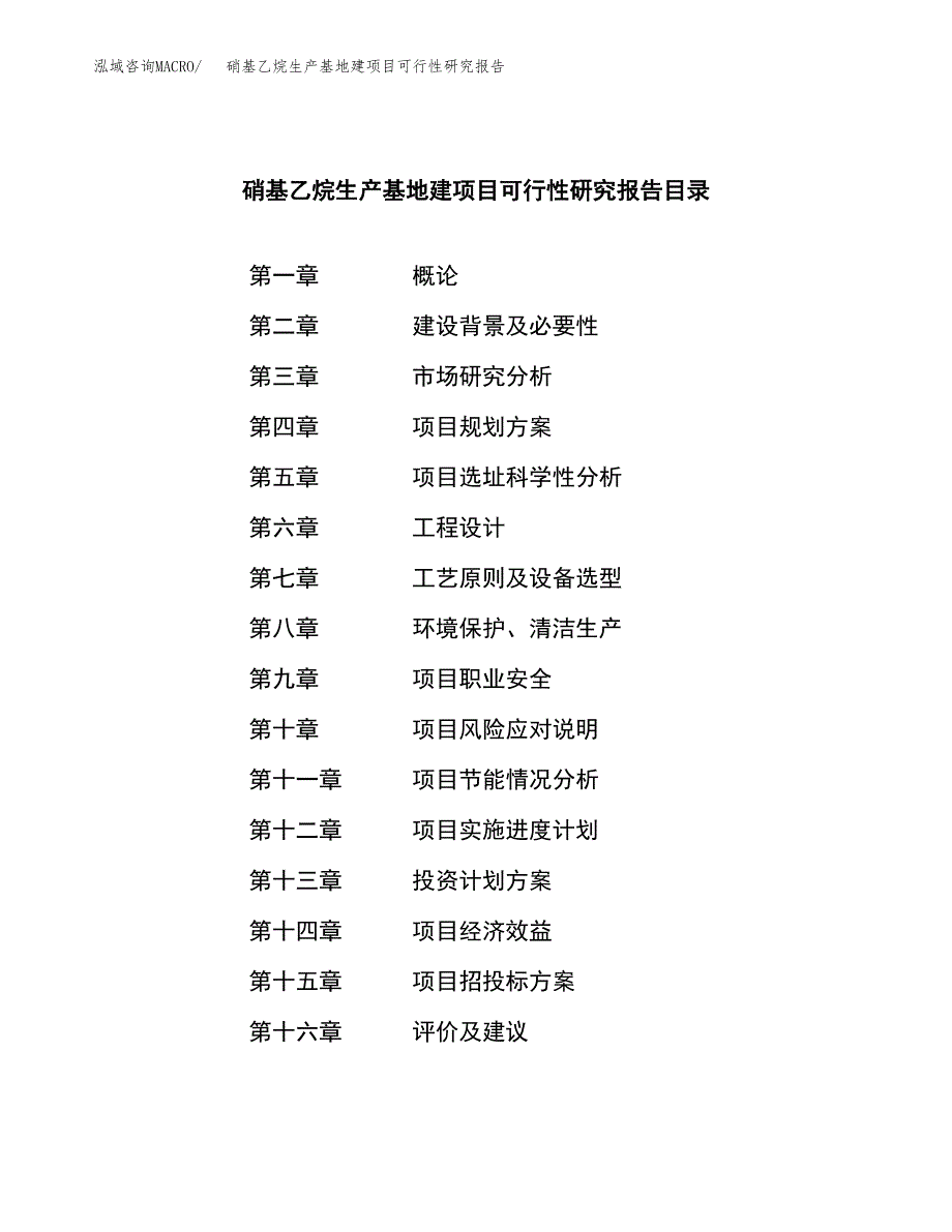 （模板）硝基乙烷生产基地建项目可行性研究报告_第3页