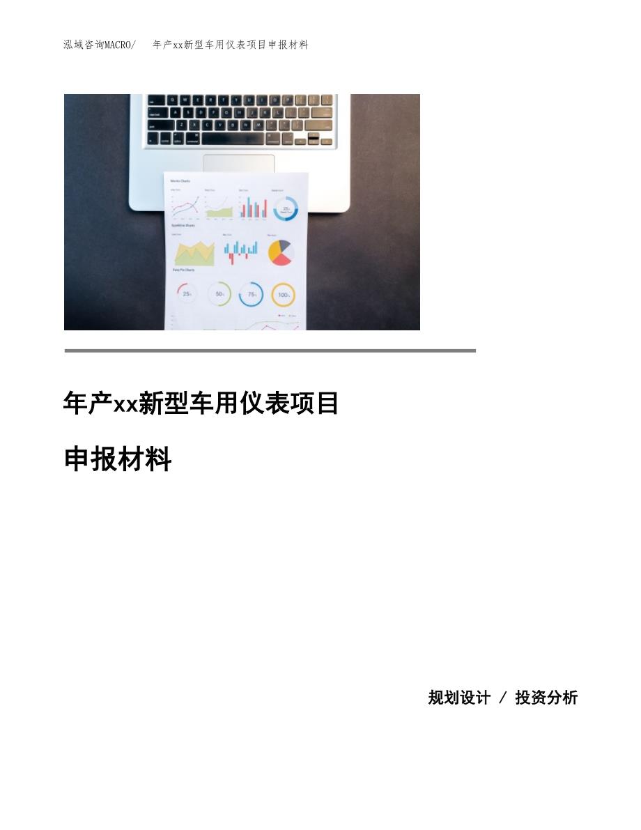 年产xx新型车用仪表项目申报材料_第1页