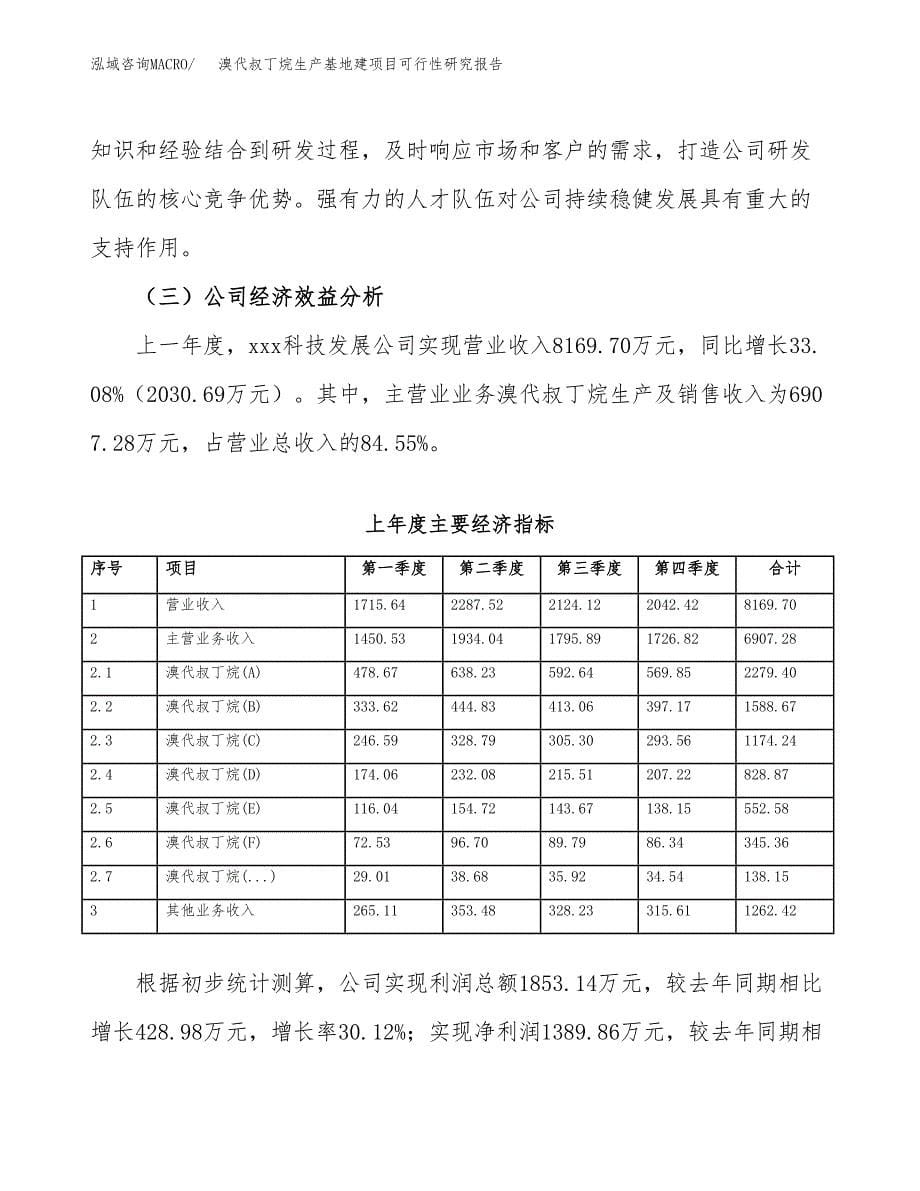 （模板）溴代叔丁烷生产基地建项目可行性研究报告_第5页