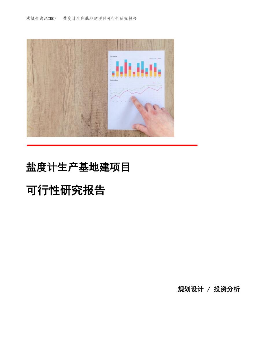 （模板）盐度计生产基地建项目可行性研究报告_第1页