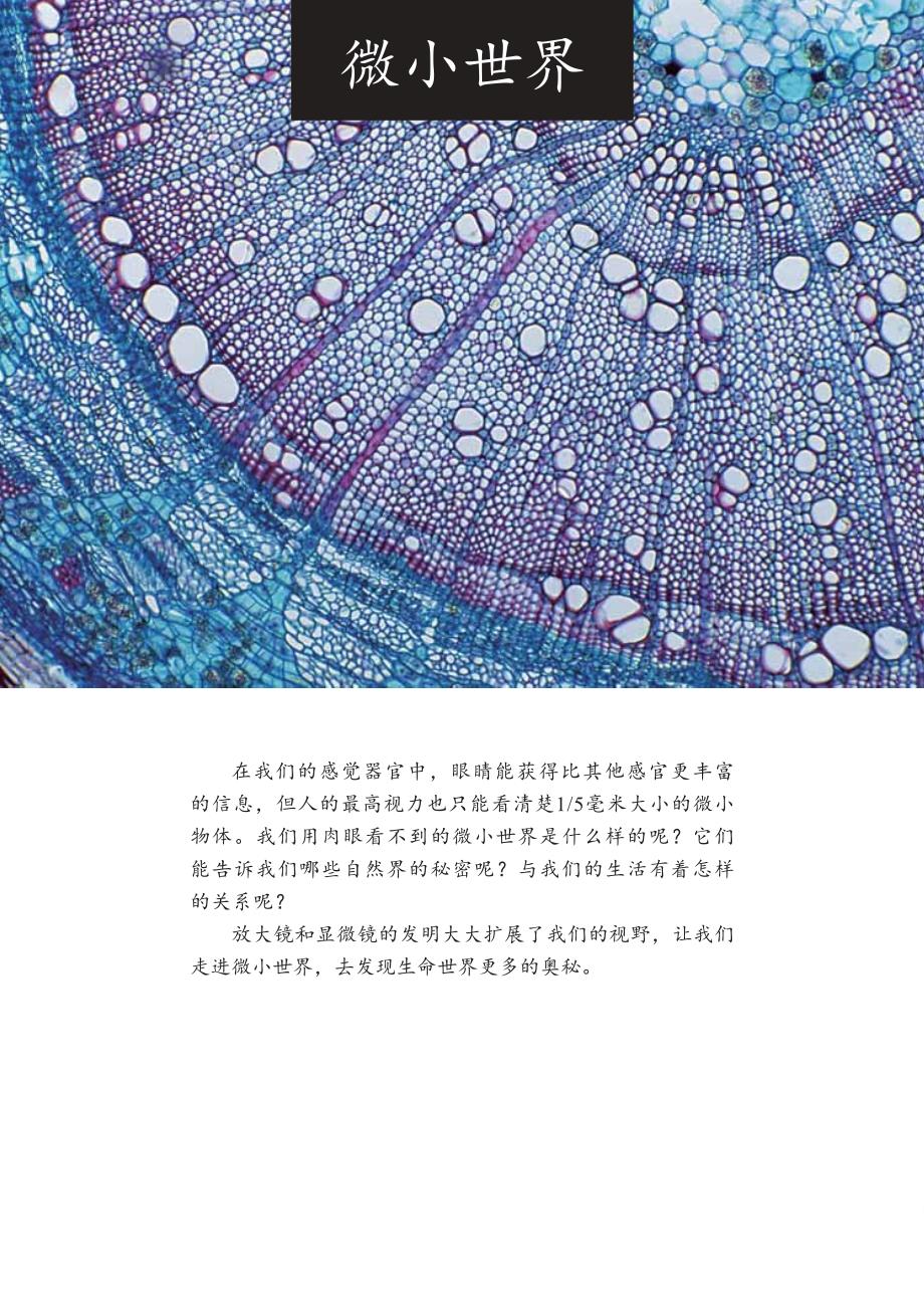 1教科版小学科学电子教材六年级下册一单元-微小世界.pdf_第1页