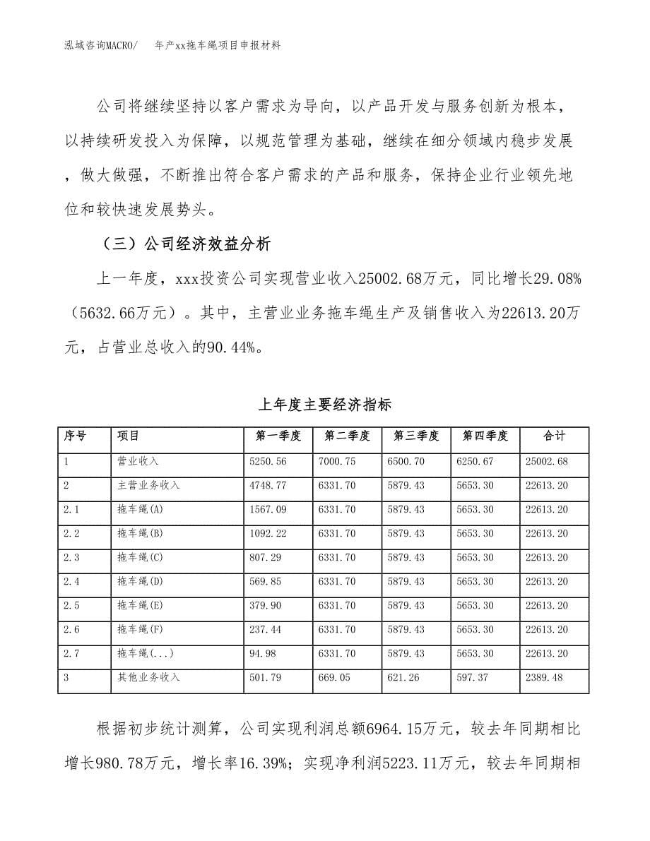 年产xx拖车绳项目申报材料_第5页