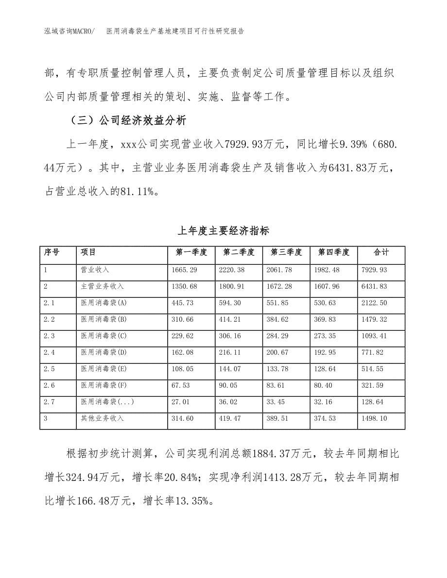 （模板）医用消毒袋生产基地建项目可行性研究报告_第5页