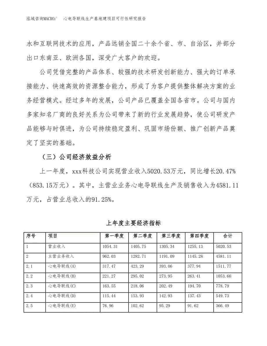 （模板）心电导联线生产基地建项目可行性研究报告 (1)_第5页