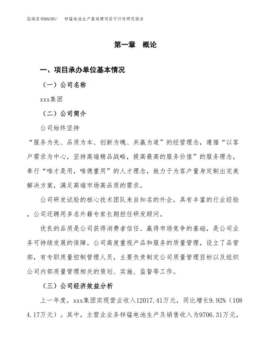 （模板）锌锰电池生产基地建项目可行性研究报告_第4页