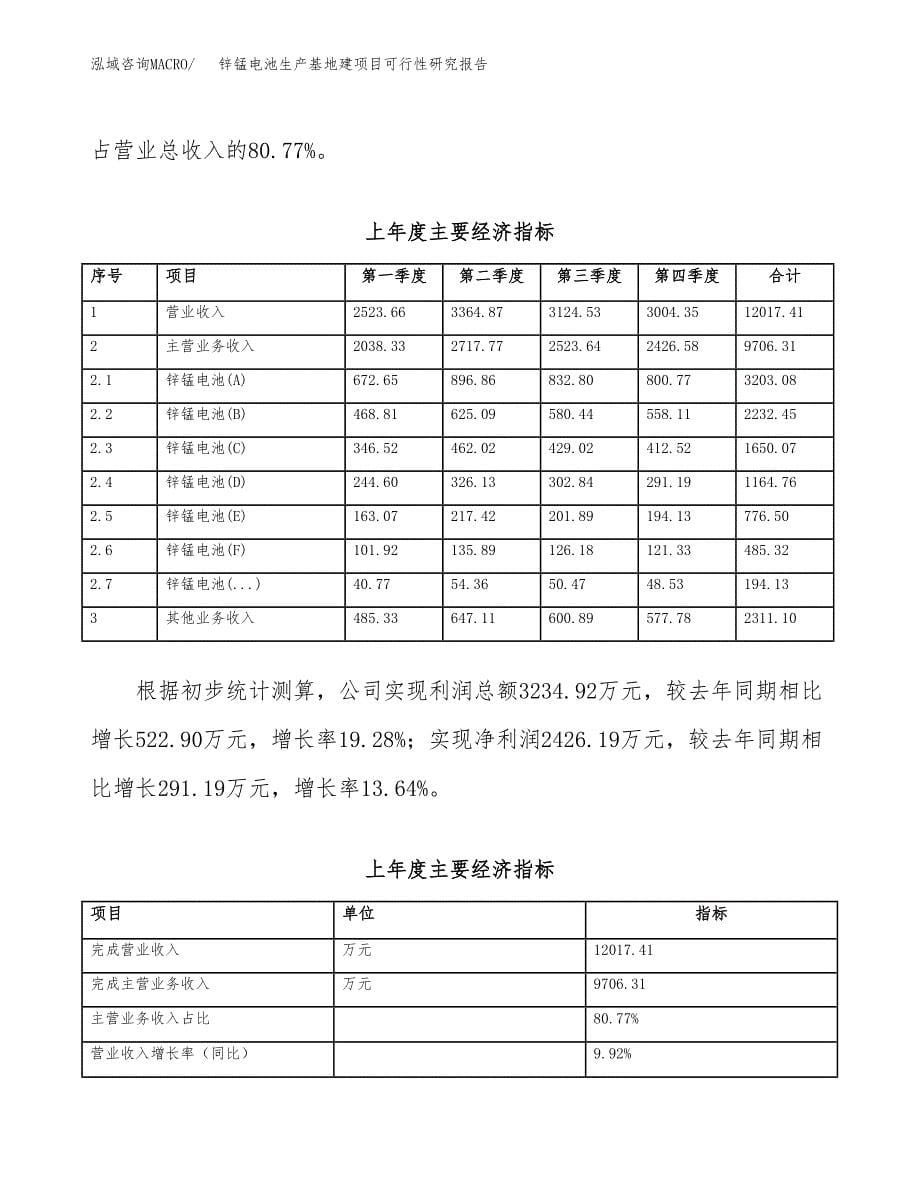 （模板）锌锰电池生产基地建项目可行性研究报告_第5页