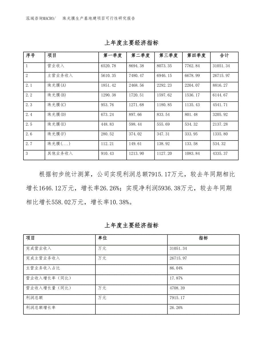 （模板）珠光膜生产基地建项目可行性研究报告_第5页