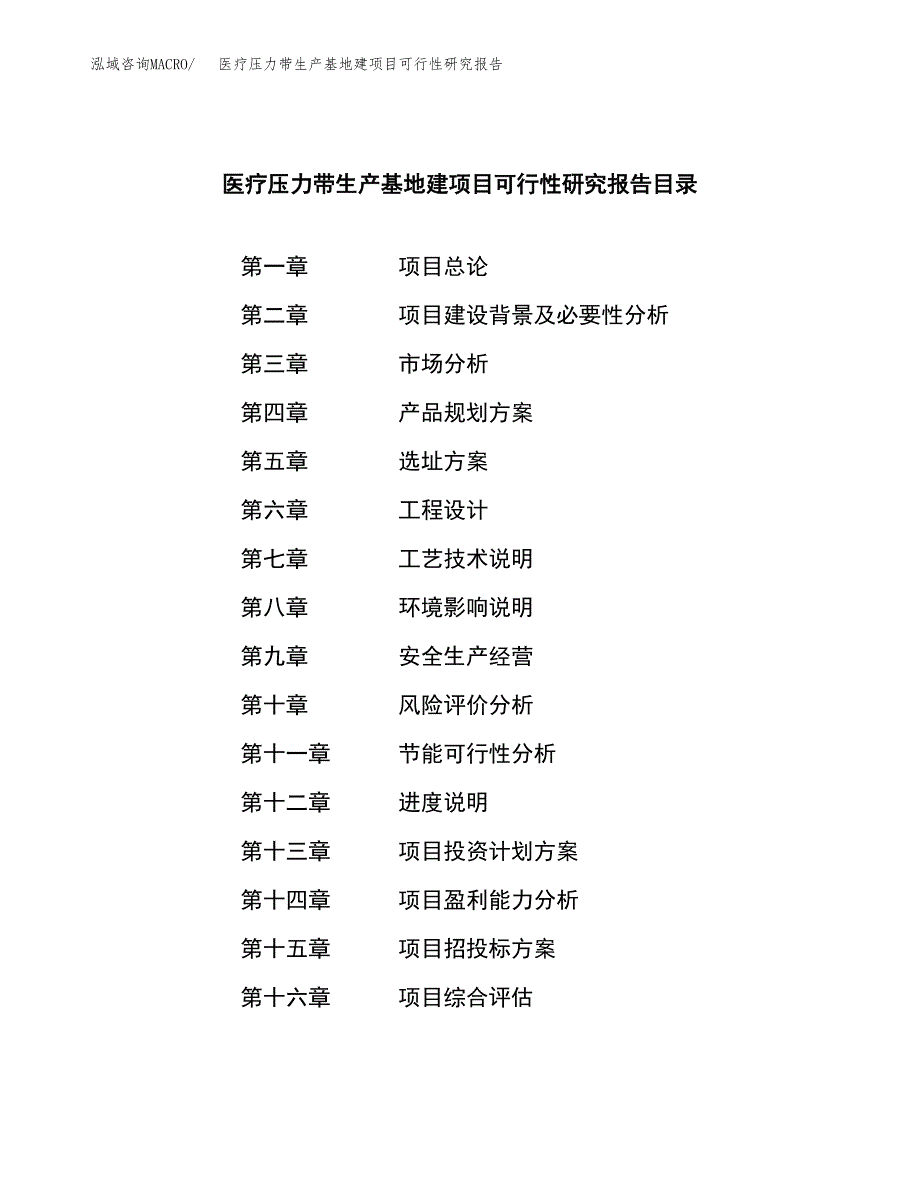 （模板）医疗压力带生产基地建项目可行性研究报告_第3页