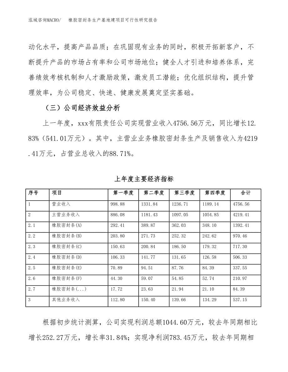 （模板）橡胶密封条生产基地建项目可行性研究报告 (1)_第5页