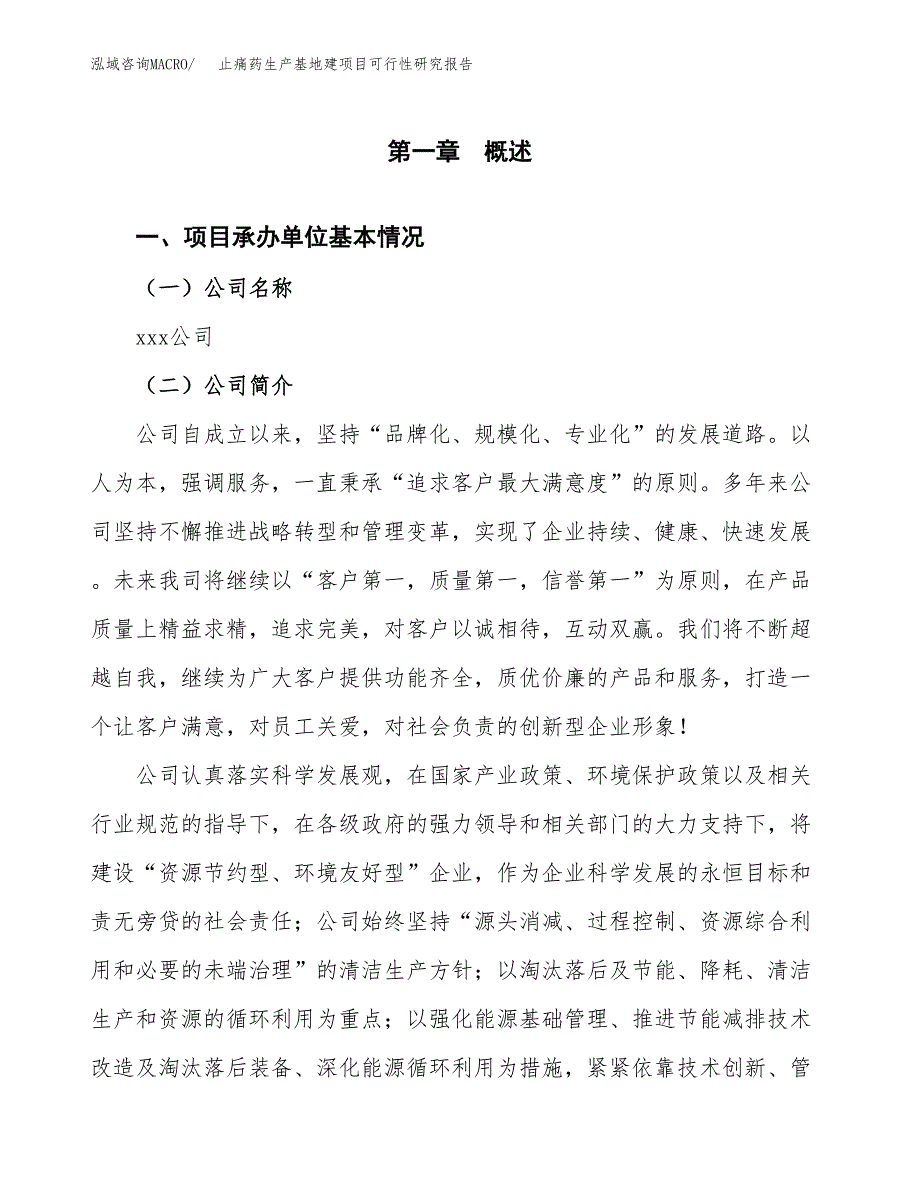 （模板）止痛药生产基地建项目可行性研究报告_第4页