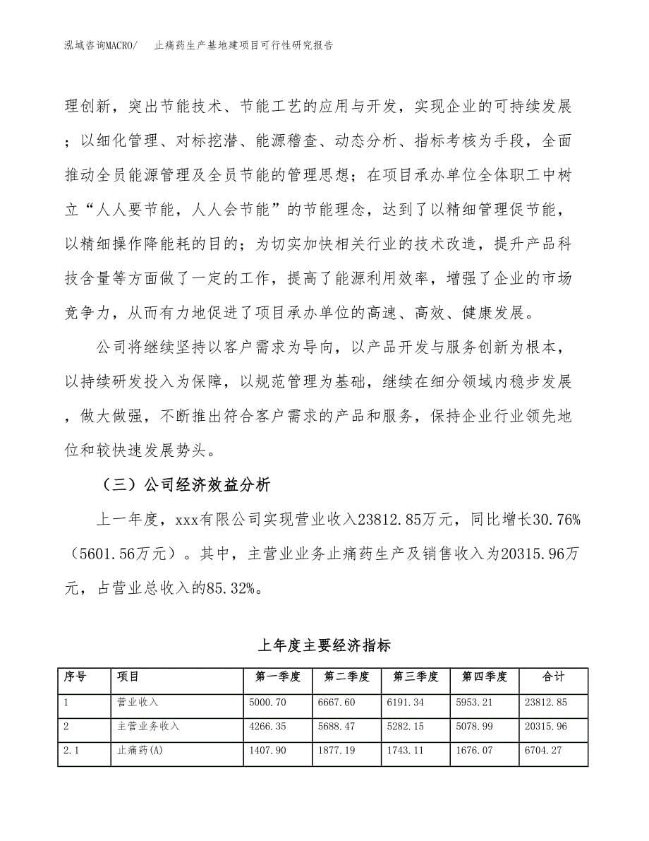 （模板）止痛药生产基地建项目可行性研究报告_第5页