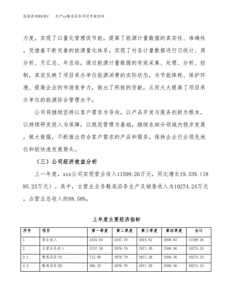 年产xx鞋底沿条项目申报材料_第5页