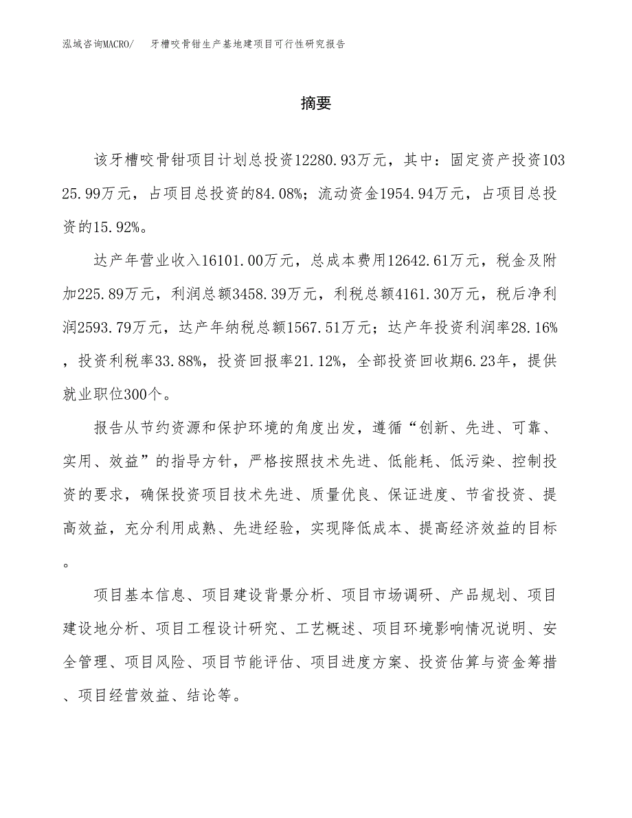 （模板）牙槽咬骨钳生产基地建项目可行性研究报告_第2页