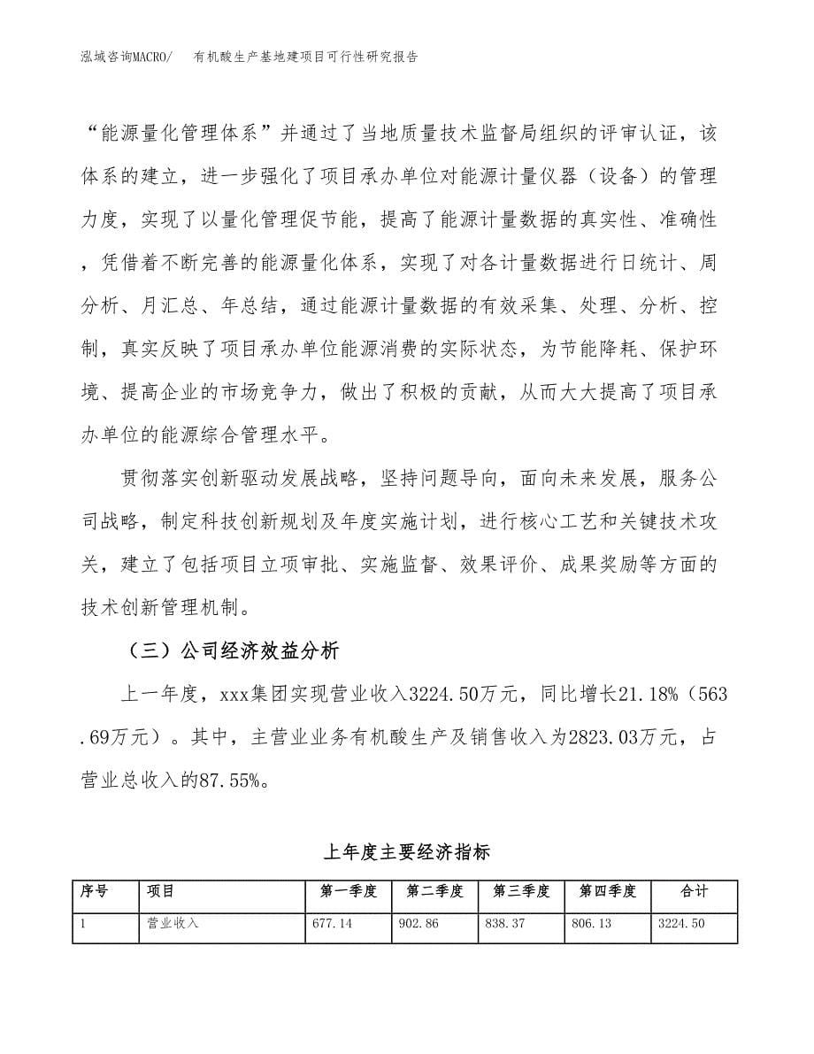 （模板）有机酸生产基地建项目可行性研究报告 (1)_第5页