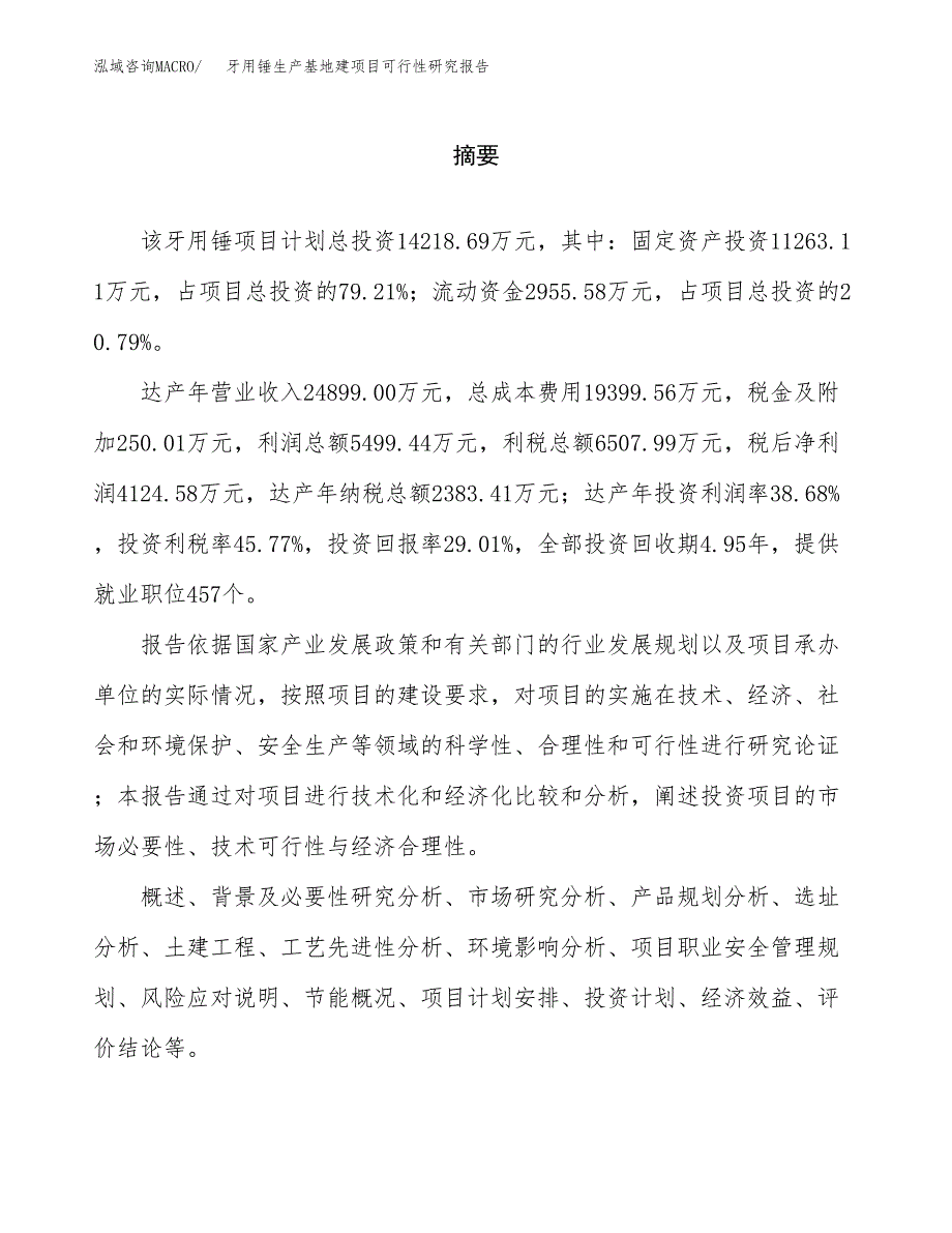 （模板）牙用锤生产基地建项目可行性研究报告_第2页