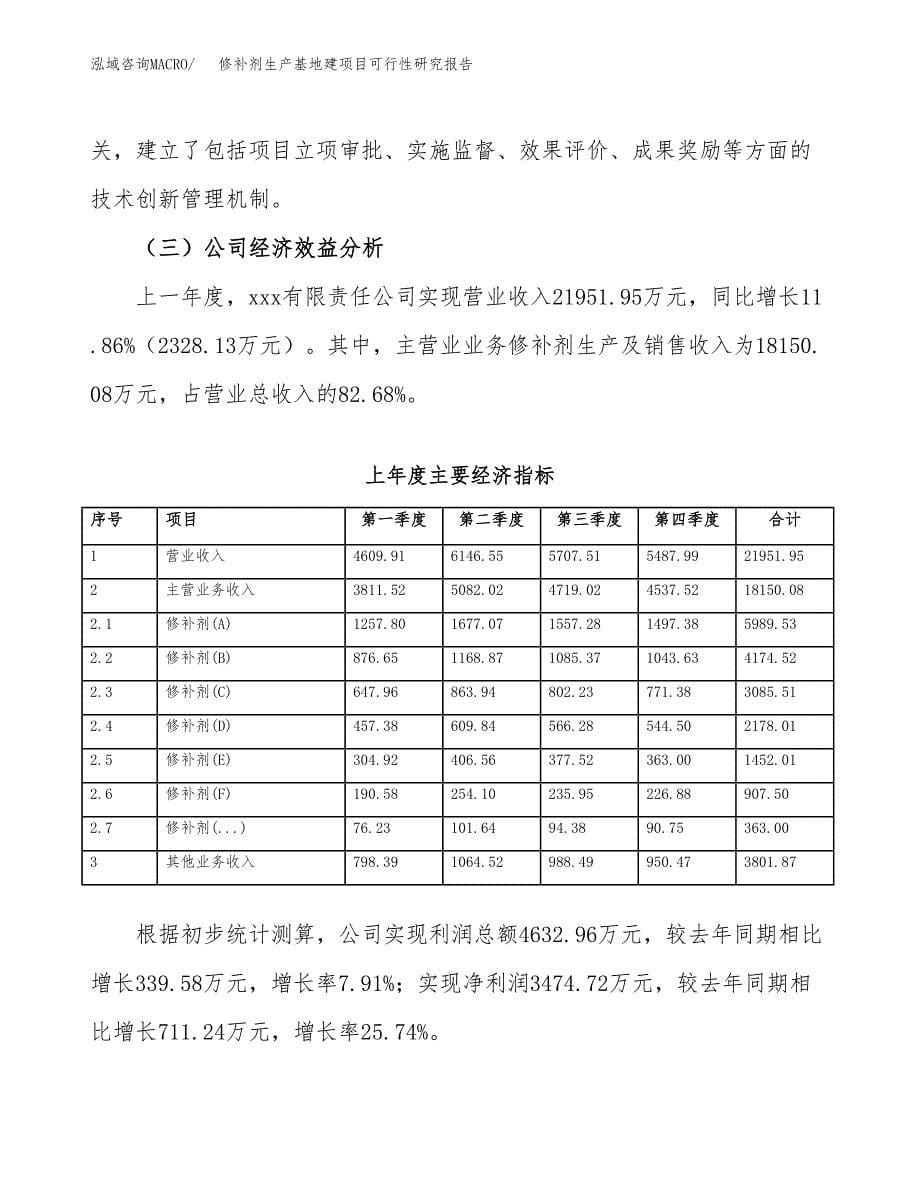 （模板）修补剂生产基地建项目可行性研究报告_第5页