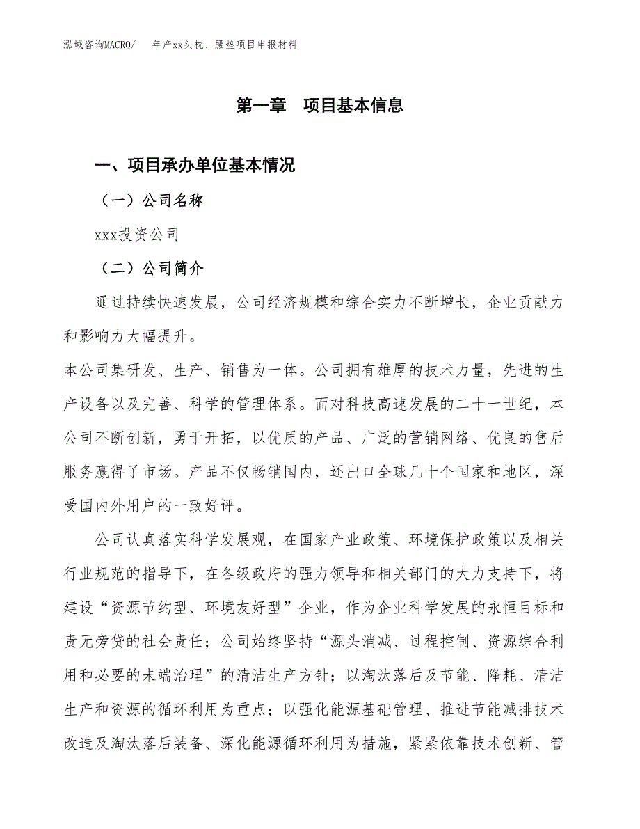 年产xx头枕、腰垫项目申报材料_第4页