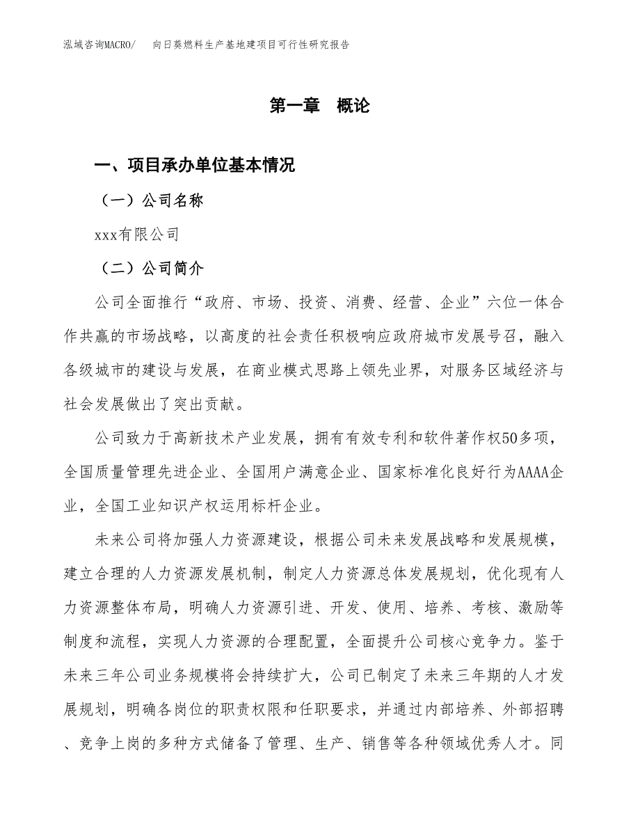 （模板）向日葵燃料生产基地建项目可行性研究报告_第4页