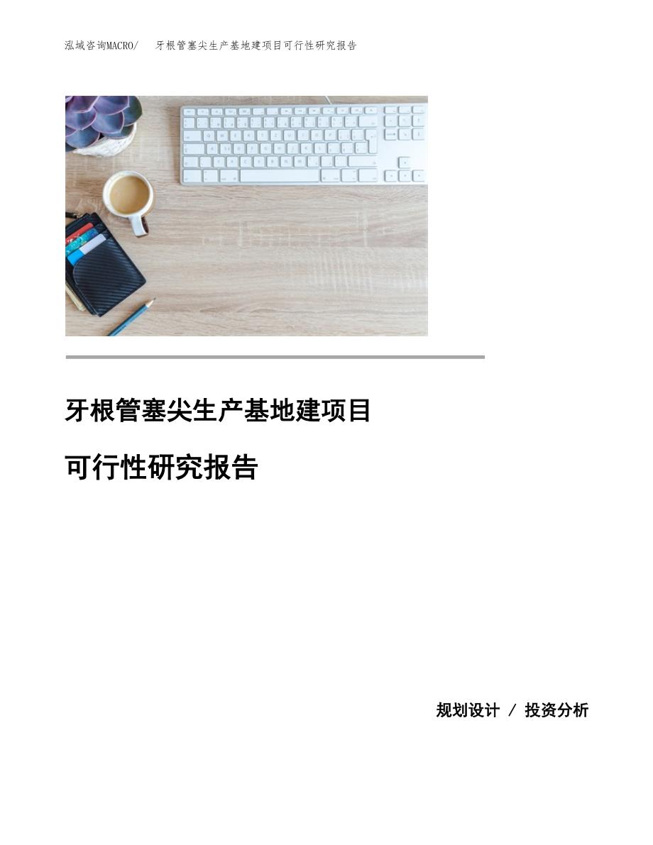 （模板）牙根管塞尖生产基地建项目可行性研究报告_第1页