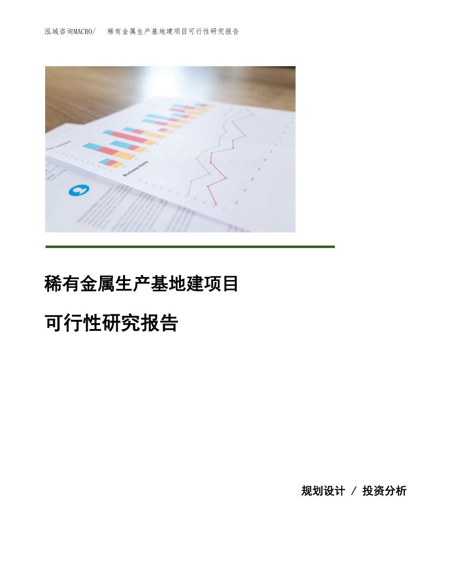 （模板）稀有金属生产基地建项目可行性研究报告_第1页