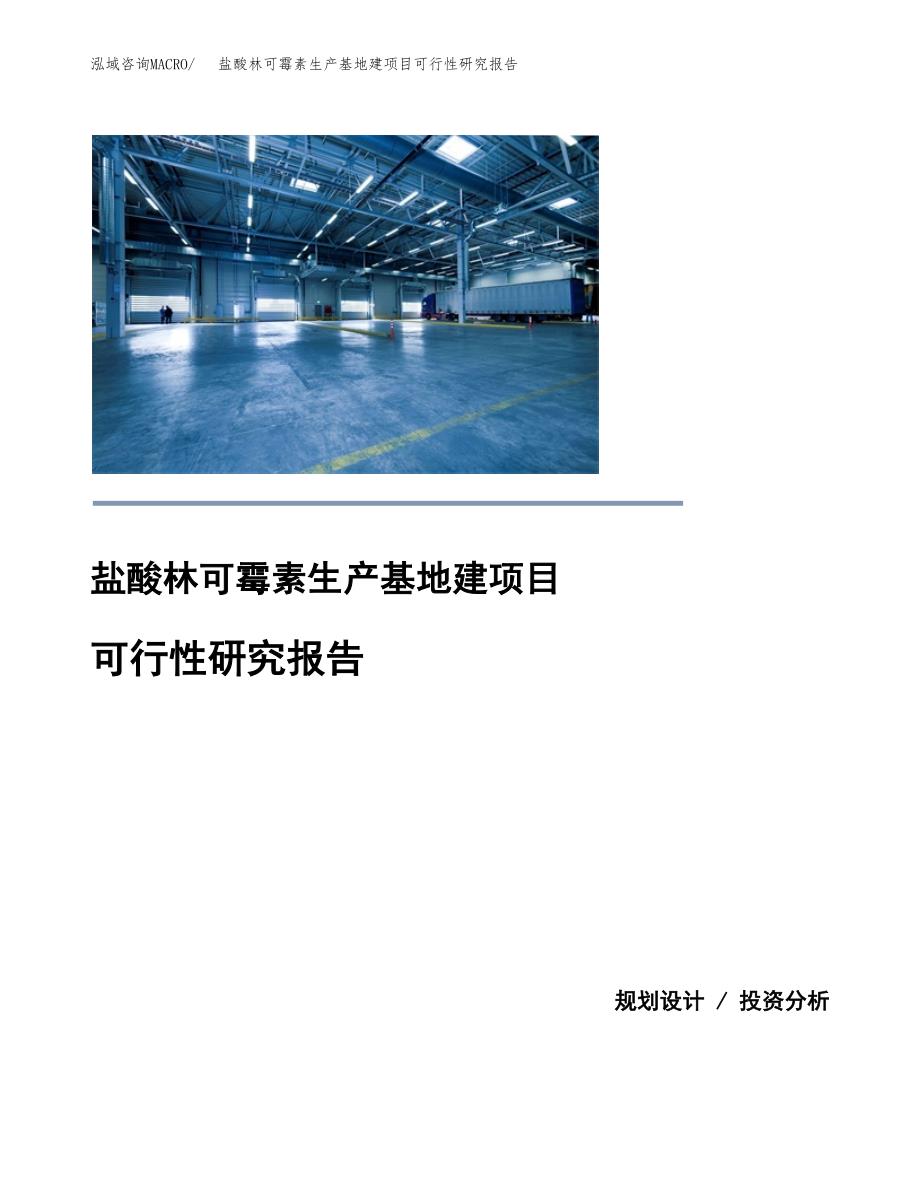 （模板）盐酸林可霉素生产基地建项目可行性研究报告_第1页