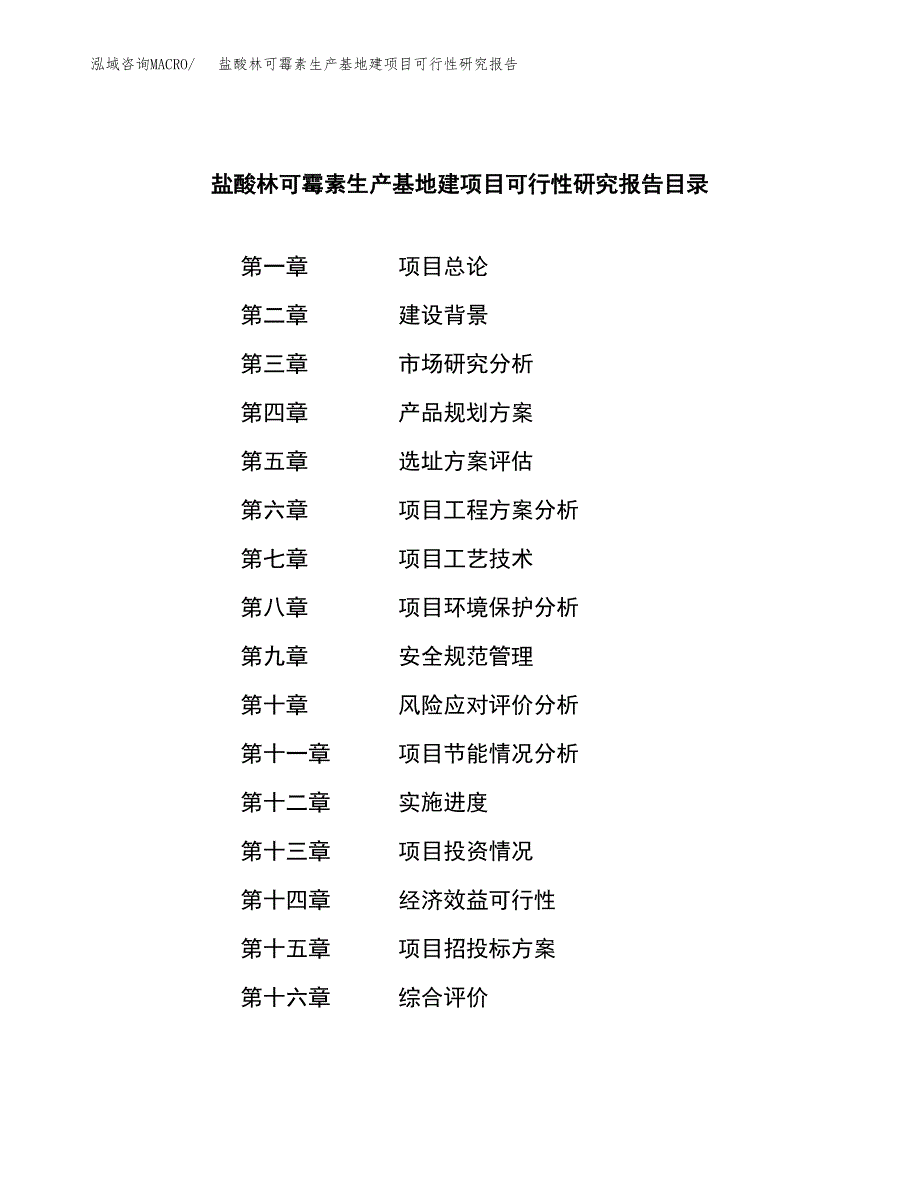 （模板）盐酸林可霉素生产基地建项目可行性研究报告_第3页