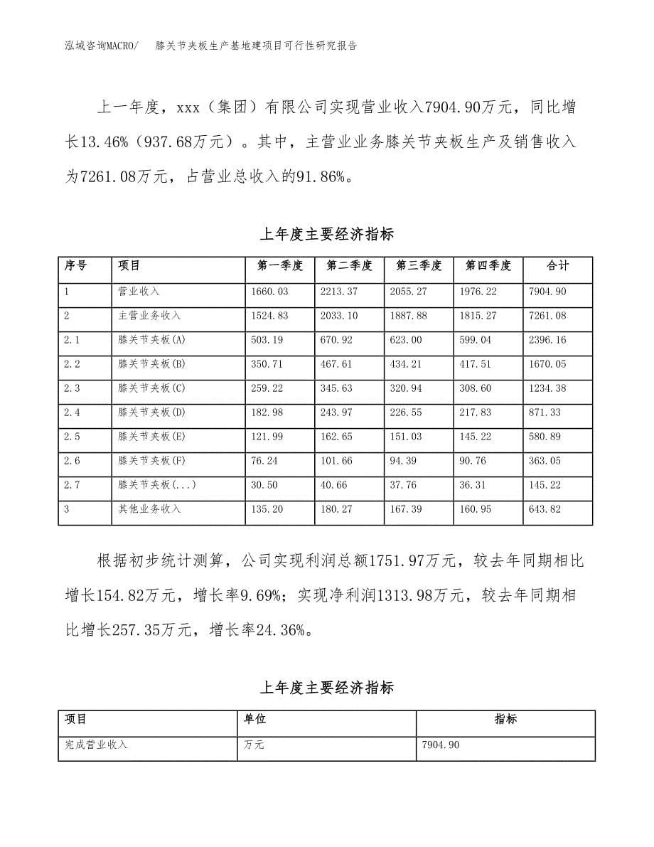 （模板）膝关节夹板生产基地建项目可行性研究报告_第5页